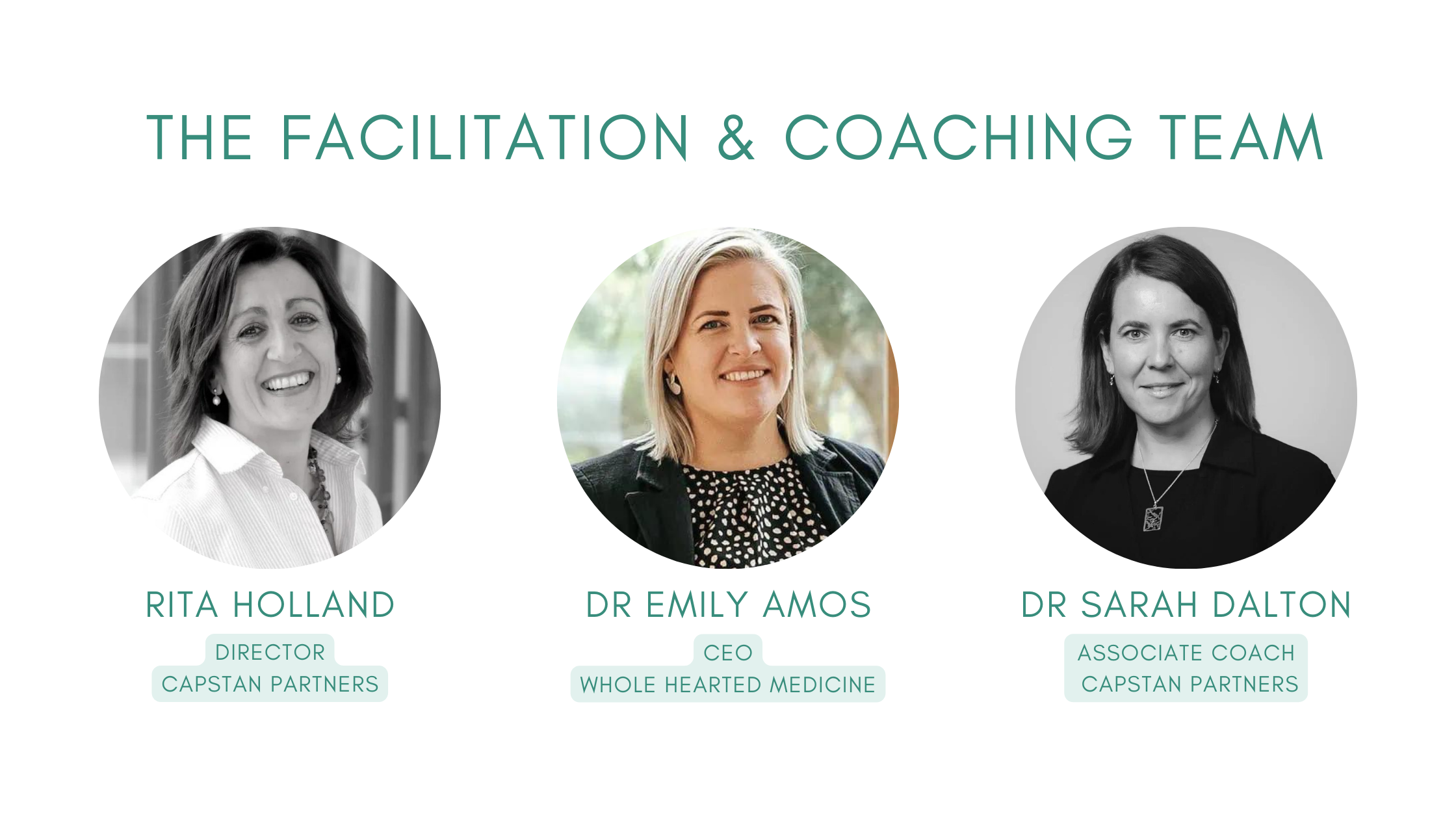 wellness facillitators